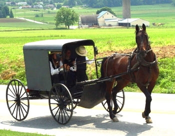 Lancaster_County_Amish_03-2.jpg